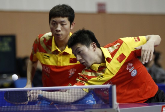 他们或将为 他们或将为